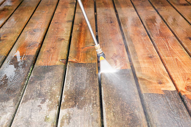 Best Animal Enclosure Cleaning  in Granite Shoals, TX